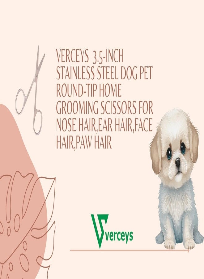Verceys مقص فيرسيز® (موديل S-05) ذو طرف دائري من الفولاذ المقاوم للصدأ بطول 3.5 بوصة، مناسب للكلاب والقطط، لتقليم الوجه والمخالب - Image 2